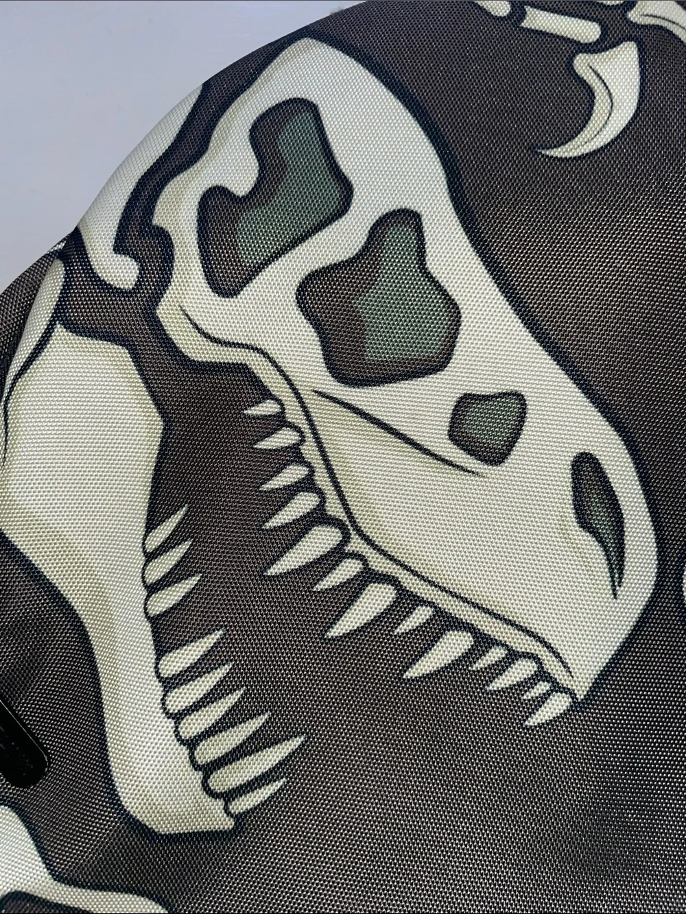 Space Junk skeleton dinosaurs book bag